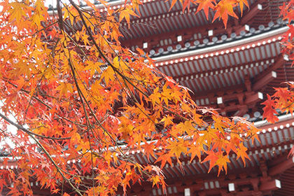 竹林寺の歴史