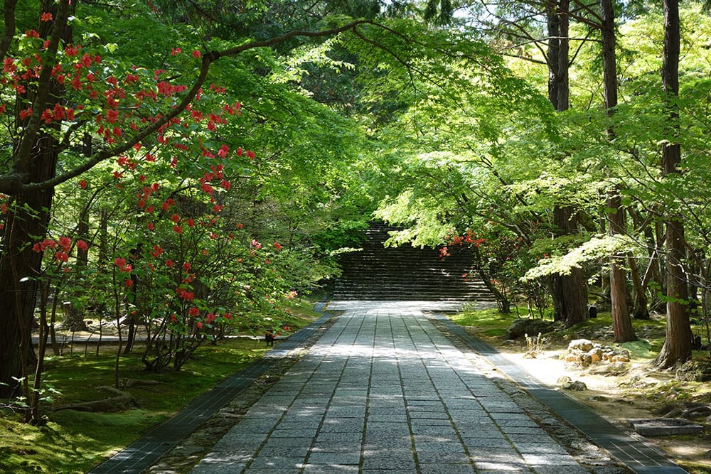 竹林寺の歴史