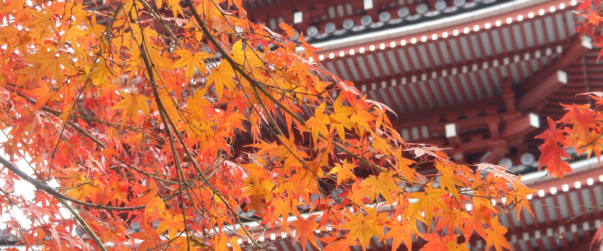 五台山 竹林寺