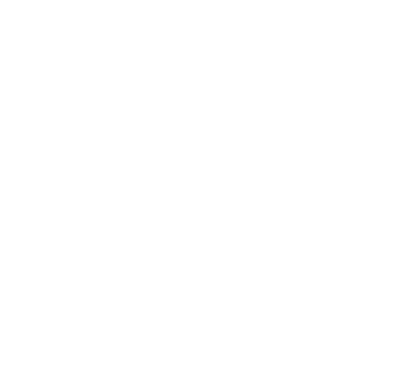 四国霊場第三十一番札所 日本三文殊随一