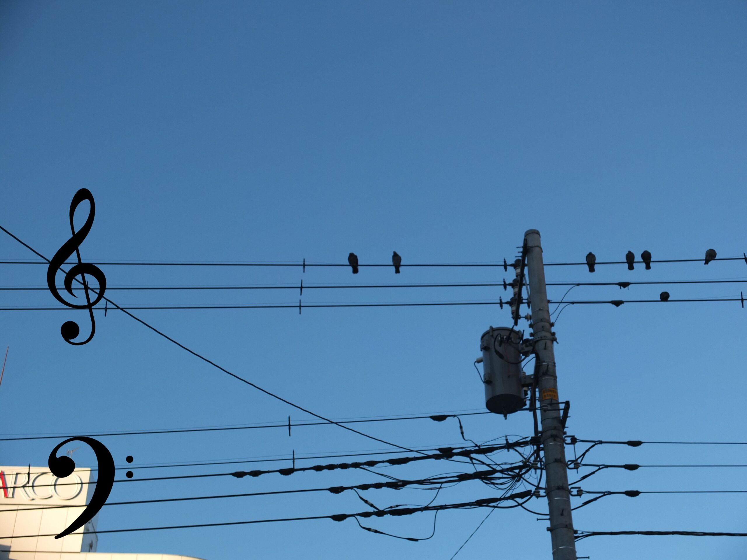 「日常のドレミ採集ワークショップ～鎌倉編～」2025