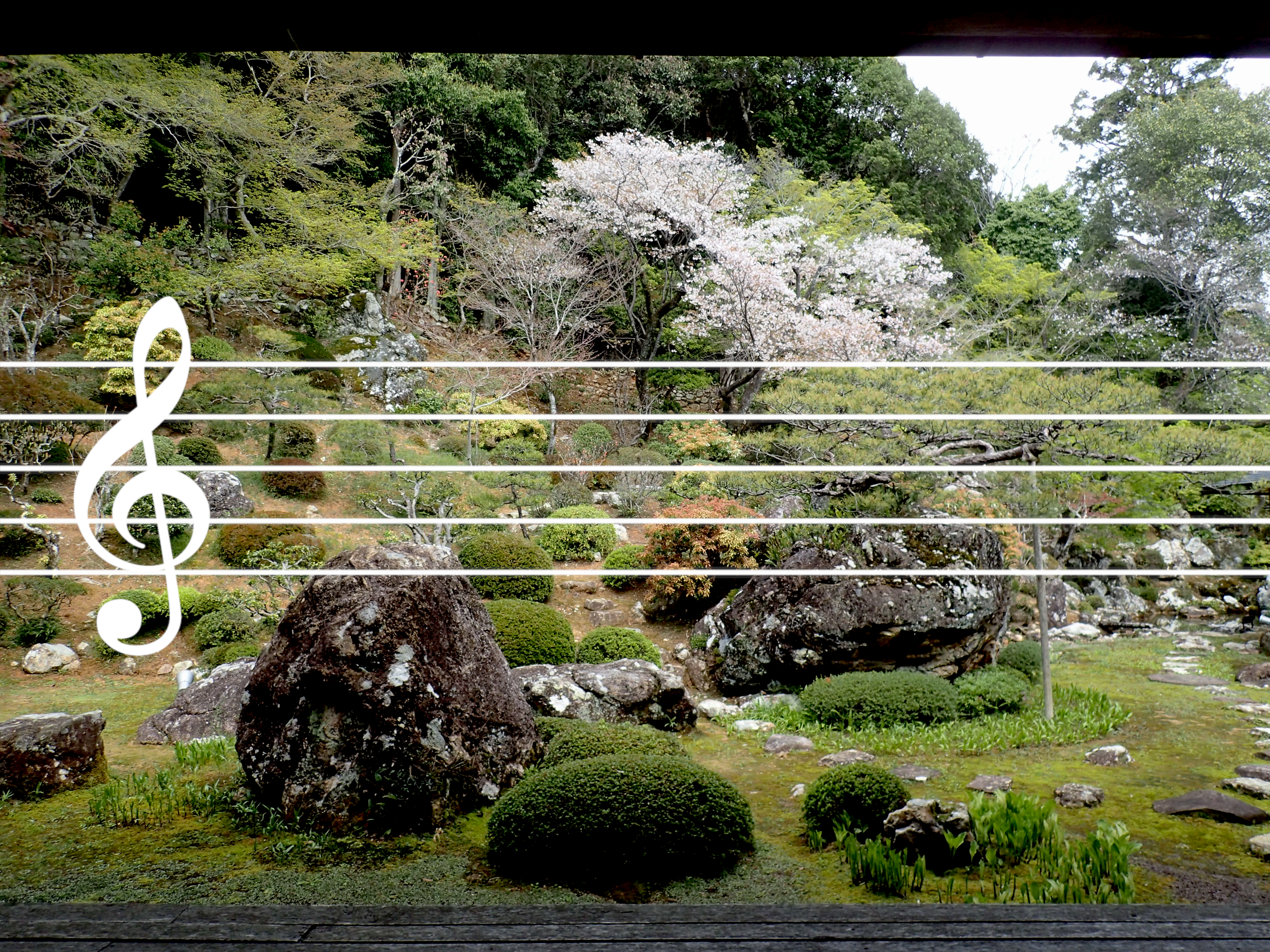 【特別展示】西村直晃「日常のドレミ採集」展～高知編～のご案内